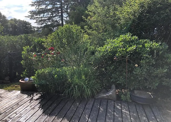 Апартаменты Schoene In *